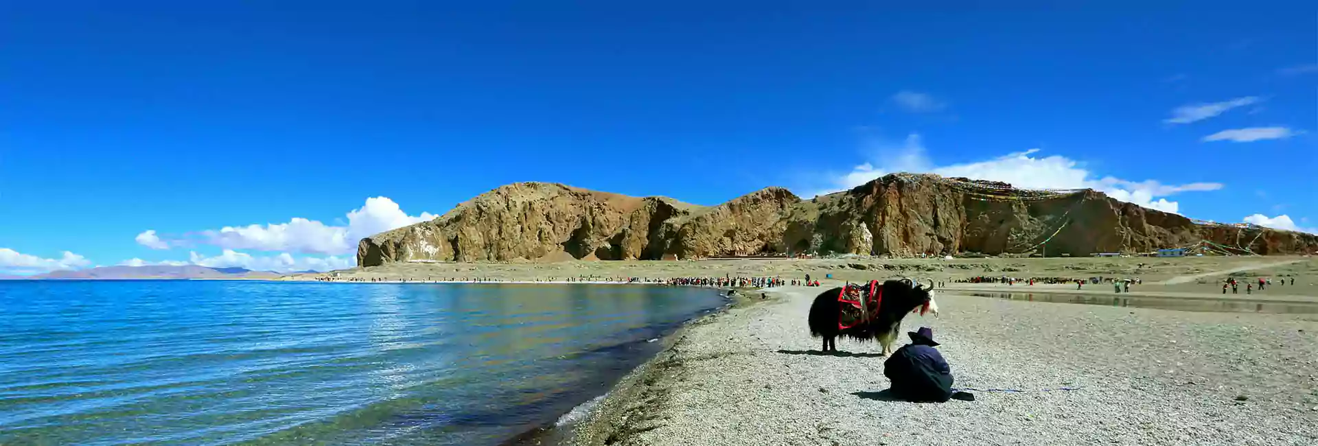 Yak