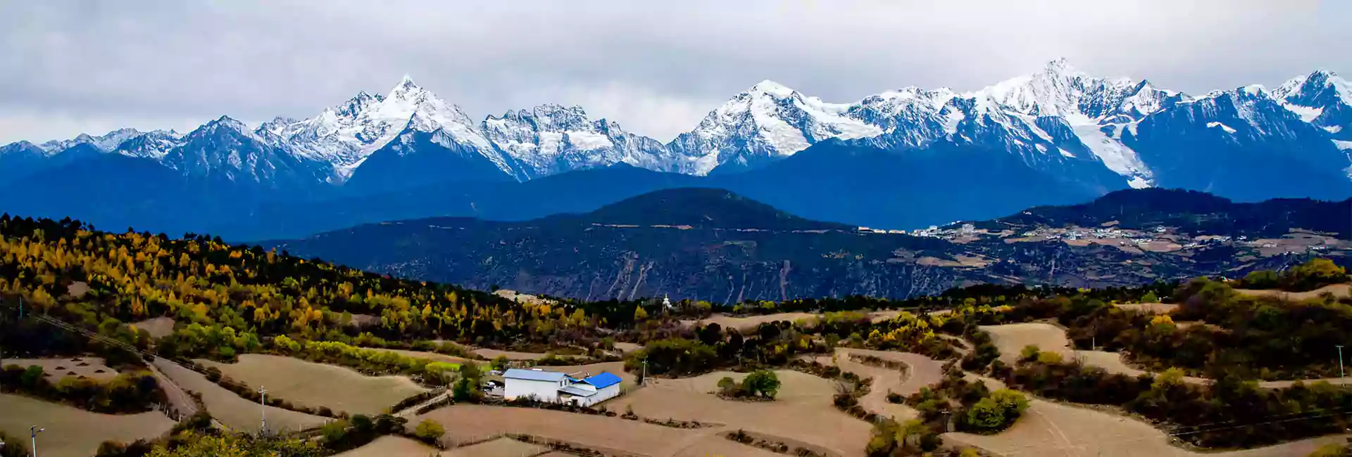 Tibet Linzhi