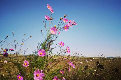 Lhasa Outskirts Pabonka 5 Days Experience Trekking Tour