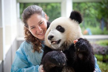 Giant Panda Trailing 2 Days Tour