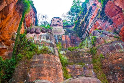 Giant Panda and Leshan Buddha Day Tour