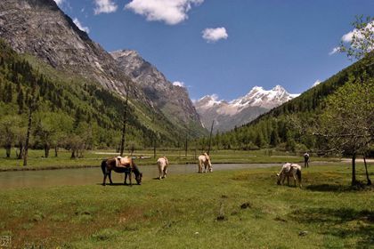 Siguniang Mountain Dahaizi Camp and Erfeng 5 Days Trekking Tour