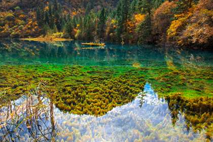 4 Days Chengdu to Jiuzhaigou and Huanglong Park Car Tour