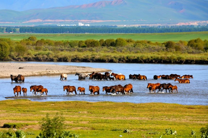 Inner Mongolia 5 days tour